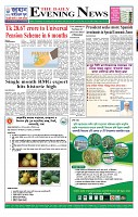 The Daily Evening News_Page_2